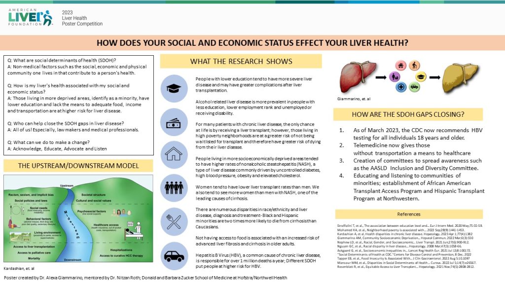 Disparities In Liver Disease 2024 Liver Health Poster Competition   Alexa Giammarino Disparities 1024x576 